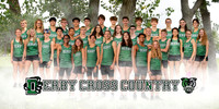 Individuals and Team