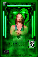 Senior Banners