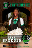 Senior Banners