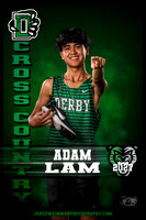 Senior Banners